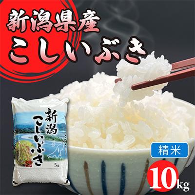 ふるさと納税 胎内市 令和7年産　新潟県胎内市産こしいぶき10kg(5kg×2袋)(精米)