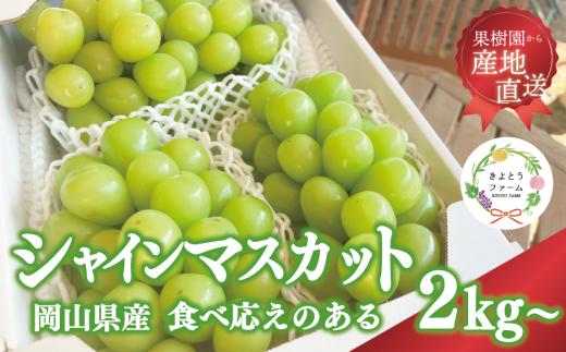 KF-B016-02【きよとうファーム】シャインマスカット3～5房/計2kg~ (岡山県産)