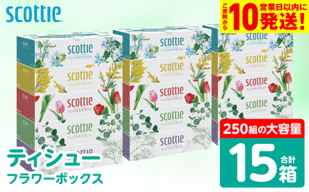 スコッティ ティッシュ 250組 15箱 ティシュー