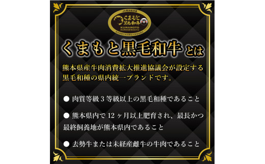 FKK19-930_ 【A4～A5】 くまもと黒毛和牛切り落とし 1kg（500g×2p）