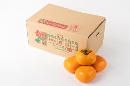 【生渋柿・あんぽ柿用たね無・T軸枝なし】約4.5～5kg＜2024年10月中旬～順次発送＞