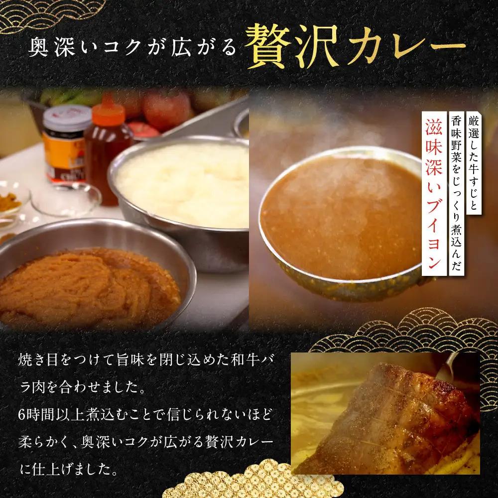 京の贅沢ビーフカレー 250g×5個 カレー 京都 老舗 銀閣寺大西