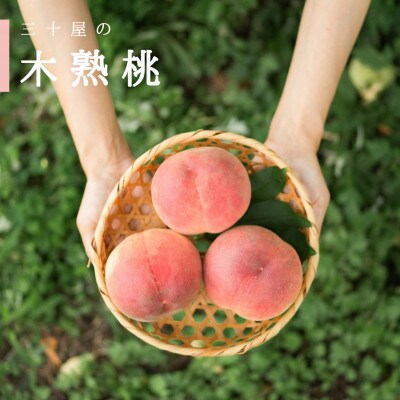 「2026年先行受付」三十屋こだわり桃【3個入 1kg以上】【配送不可地域：離島・沖縄県】