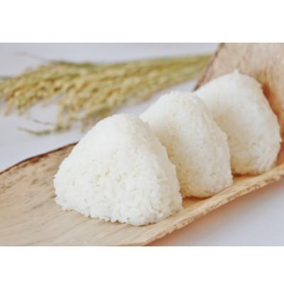 ふるさと納税 能美市 【令和7年産】石川県産ひゃくまん穀白米10kg×1袋 |  | 03