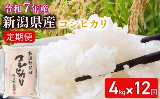 【2025年11月開始定期便】 令和7年産 新潟県新発田産 特別栽培米コシヒカリ 4㎏（2㎏ × 2袋）× 12か月 米 お米 ごはん 白米 コシヒカリ 佐々木耕起組合 プレゼント ギフト 贈答 定期便 特別栽培米 新潟県 新潟産 新発田産 D21_002_202511