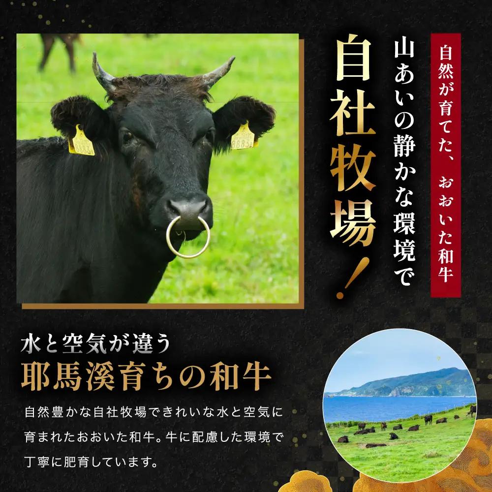 おおいた和牛100％ミンチ 700g ( 350g×2 ) | お肉 牛 牛肉 和牛 挽肉 ひき肉 ミンチ 豊後牛 大分県産 小分け 国産 冷凍 送料無料 大分県 中津市