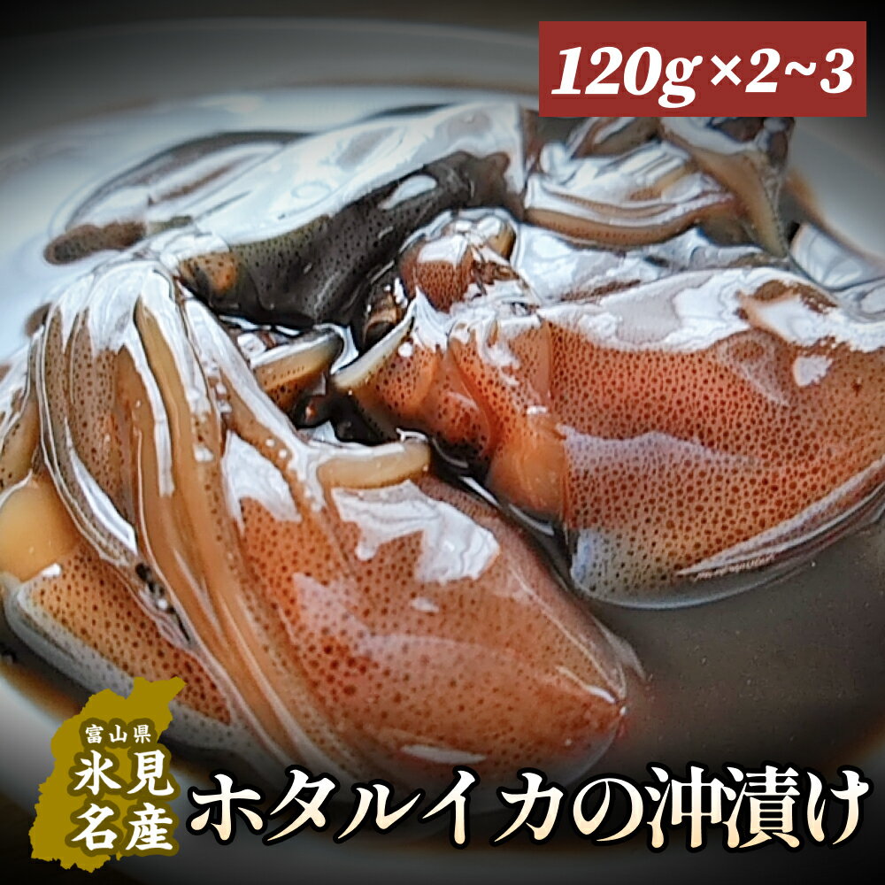 【ふるさと納税】ホタルイカの沖漬け 120g×2 or 3個 富山県 氷見市 ほたるいか 瓶 冷凍