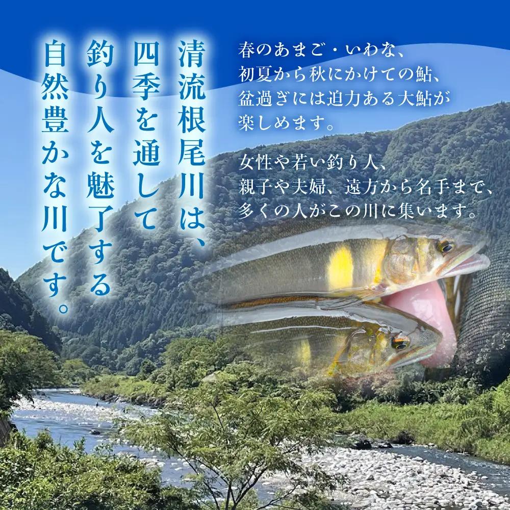 【障がい者手帳をお持ちの方　渓流魚（鮎を除く）年間遊漁証引換券（令和８年シーズン用）】 釣り 渓流魚 魚 さかな釣り 魚釣り 年間遊漁証引換券 年券 チケット 引換券 根尾川筋漁業協同組