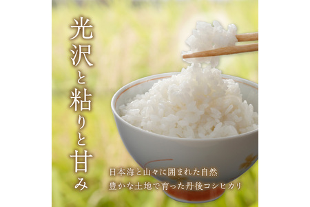 【3ヶ月定期便】直売所直送「令和6年産　京丹後市産　コシヒカリ」　精米5kg