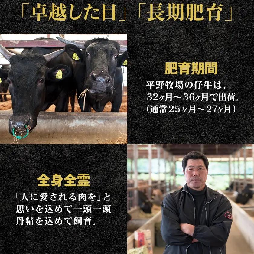 【のし付き】特選和牛〈焼肉薩摩 完熟平野幸一之牛〉ハンバーグ10個_肉 ハンバーグ 牛肉 _【配送不可地域：離島】【1042958】
