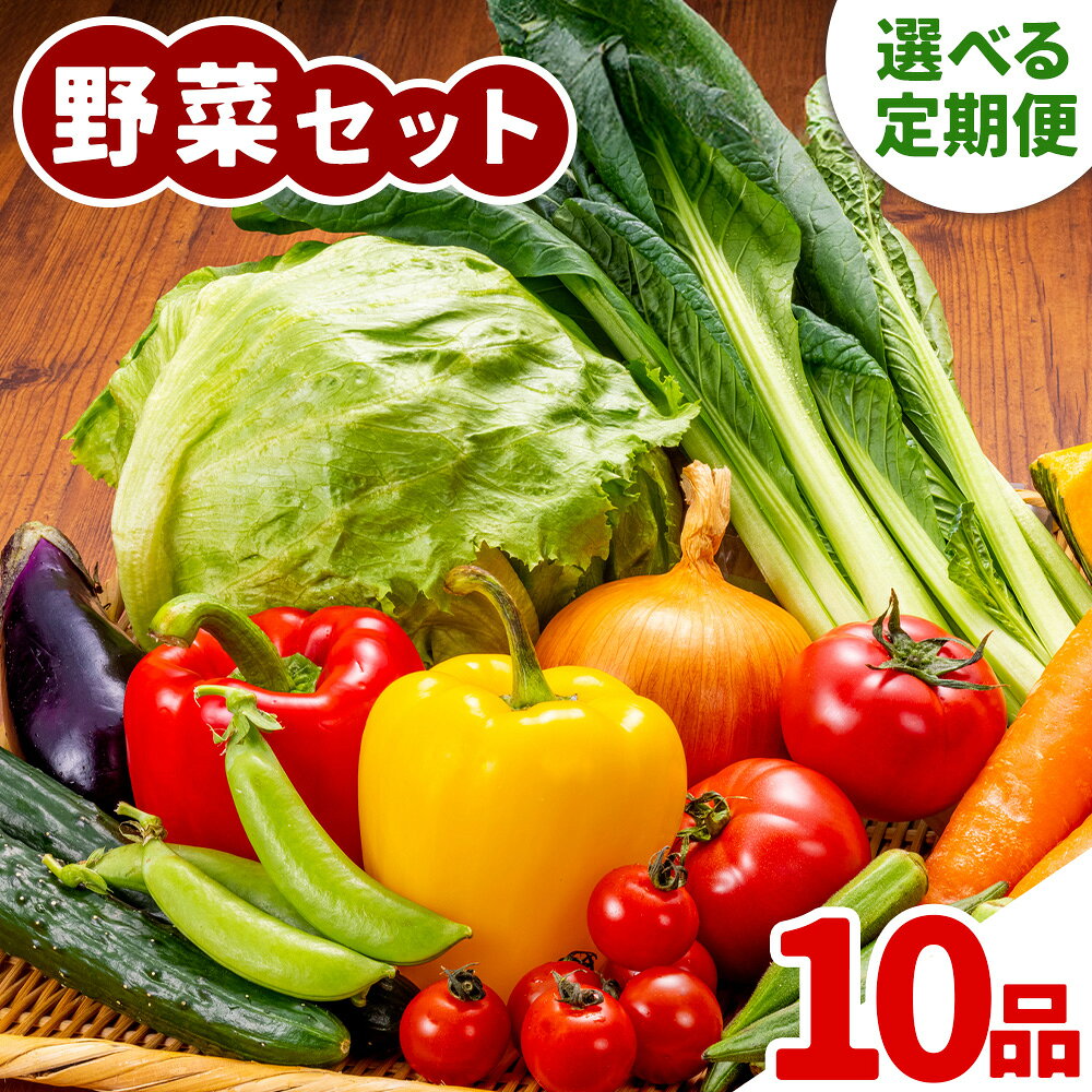 【ふるさと納税】【定期便】 野菜 10品程度 計3回 計5回【メロンドーム】 定期便 3ヶ月お届け 5ヶ月お届け 詰め合わせ セット 国産 九州産 熊本県 菊池市 道の駅 送料無料《お申し込みの翌月から出荷》