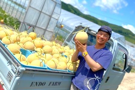 【2026年発送】遠藤ファームの中富良野メロン青肉大玉2玉（計3.2kg以上）【AX-008】
