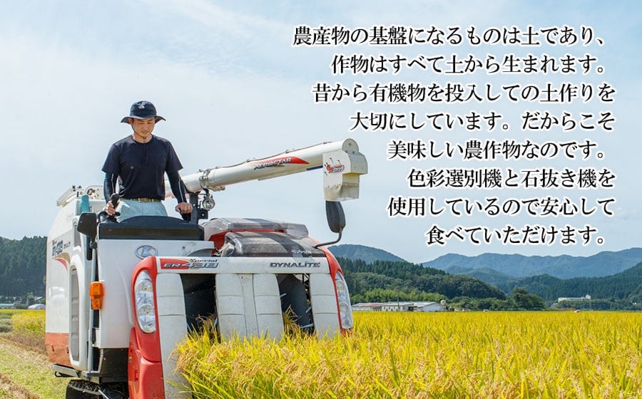 数量限定 【令和7年産先行予約】 山形県庄内産 小池半左衛門のお米 特別栽培米 つや姫 玄米 10kg (5kg×2袋)
