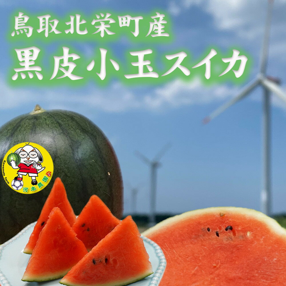 【ふるさと納税】【先行予約】黒皮小玉スイカ 鳥取県北栄町産 農家指定（こちらの返礼品は、大栄西瓜ではありません）