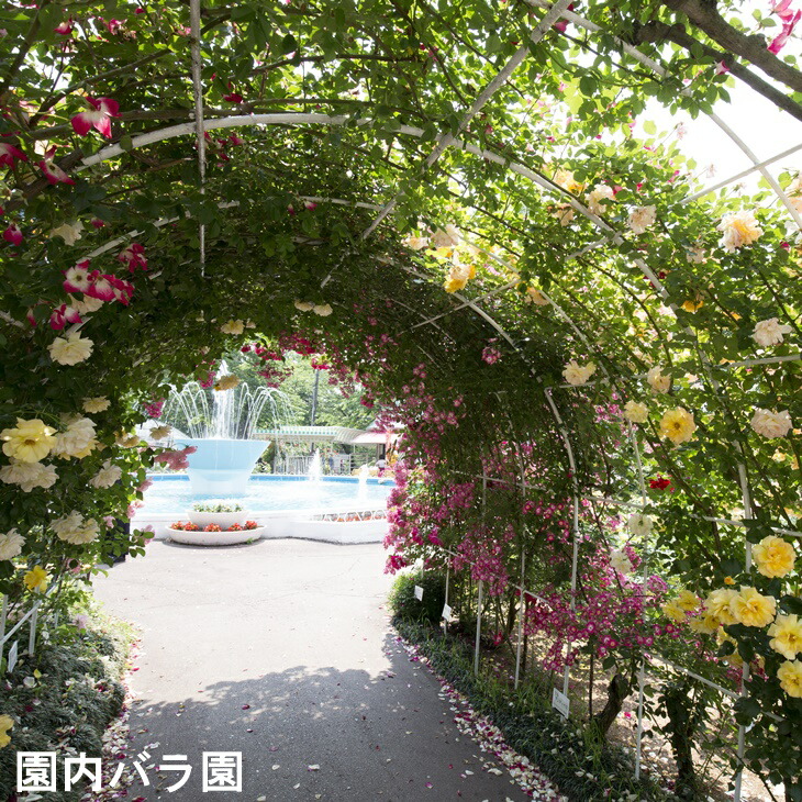 花巻温泉日帰り入浴回数券（5回分） 【1365】