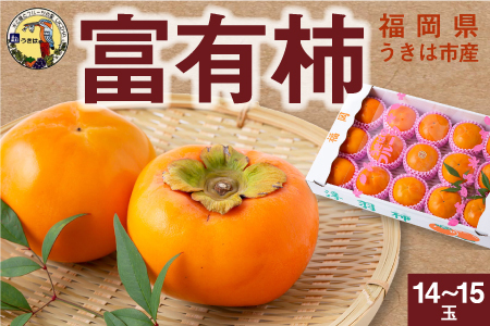 【先行予約】道の駅うきは 富有柿 14玉から15玉 2025年11月中旬から11月下旬 出荷予定