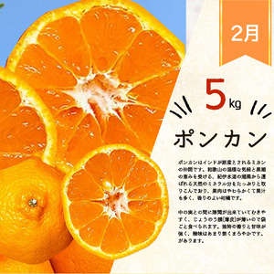 【3回定期便】 田村みかん・ポンカン・清見オレンジ 旬の柑橘定期便【tkb111】
