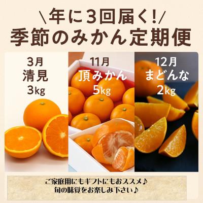 ふるさと納税 八幡浜市 【発送月固定定期便】美味しいみかん柑橘のある暮らし【みかん・まどんな・きよみ】【G31-42】全3回