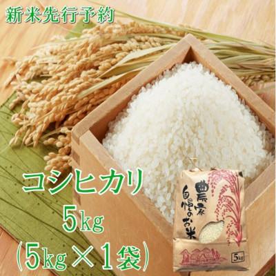 ふるさと納税 小国町 【令和8年産米 先行予約】コシヒカリ 精米 5kg　佐藤