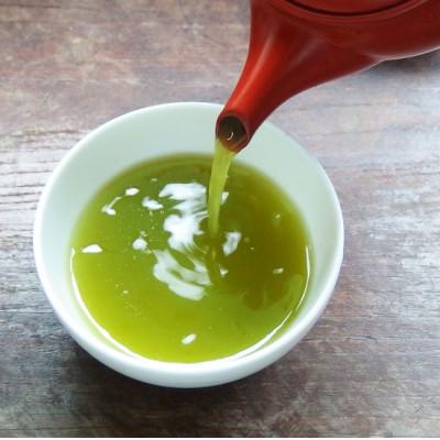 ふるさと納税 藤枝市 山嵐茶 本来の風味が味わえる荒茶づくり 100g×5袋 静岡茶 |  | 01