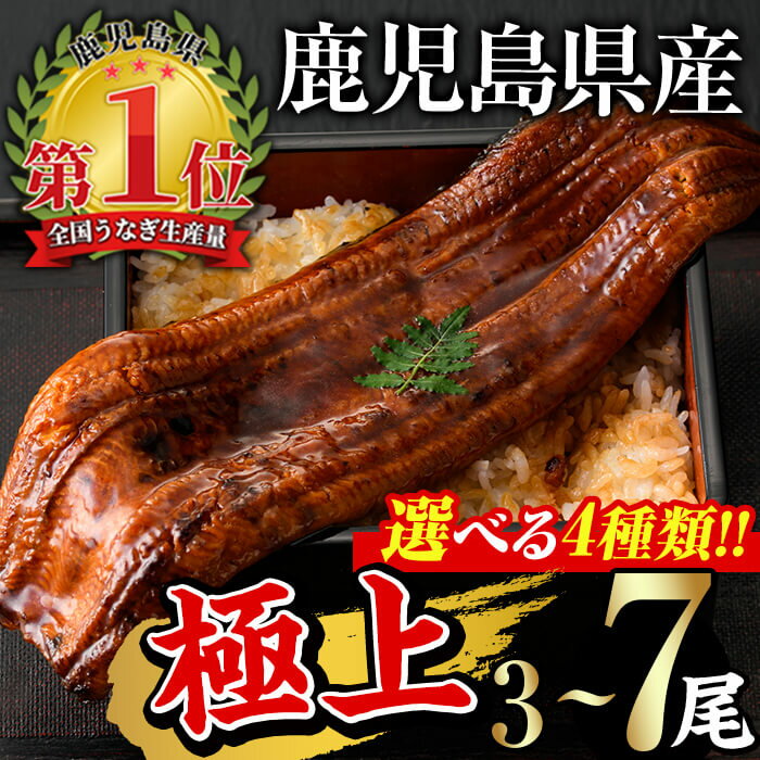 鹿児島県産うなぎ蒲焼Bセット 鰻蒲焼 計600g(約200g×3尾) きざみうなぎ蒲焼 計100g(50g×2個) タレ・山椒付き 急速冷凍で焼きたての風味のままお届け！【西日本養鰻】