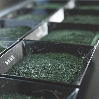 ふるさと納税 南九州市 ギフトにおすすめ!知覧茶3本セット |  | 03