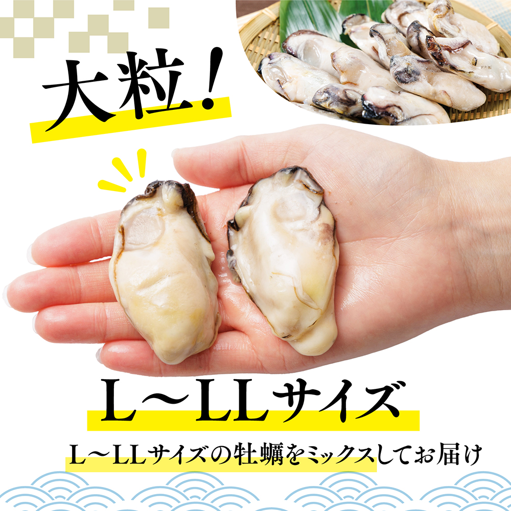 急速凍結！冬の味覚国産牡蠣1kg(500ｇ×2袋) 4S1