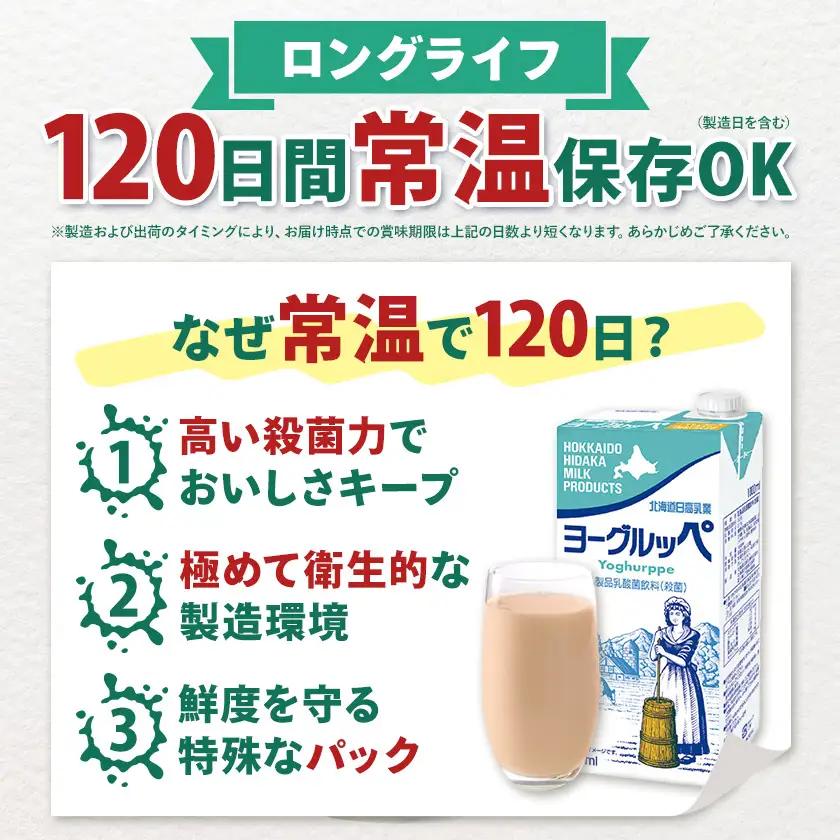 【3ヶ月定期便】ロングライフ 常温保存可能 ヨーグルッペ 1000ml × 12本 日高乳業《お申込み翌月から出荷》