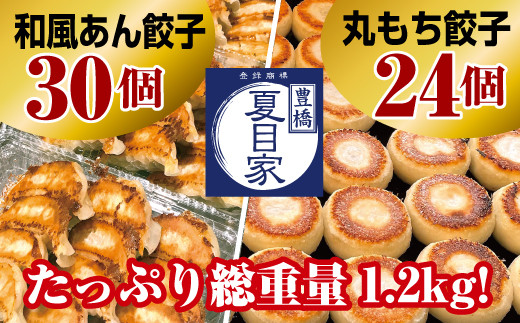 
夏目家の『和風あん餃子』30個と『丸もち餃子』24個の食べくらべセット
