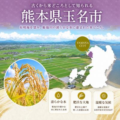 ふるさと納税 玉名市 【令和8年産】熊本県産 きぬひかり 白米 10kg |  | 01