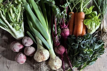 中里自然農園 旬のお野菜便 野菜セット 8～10種類 【 高知 新鮮 農薬不使用 化学肥料不使用 安心 旬 フレッシュ 野菜 セット 詰め合わせ 】