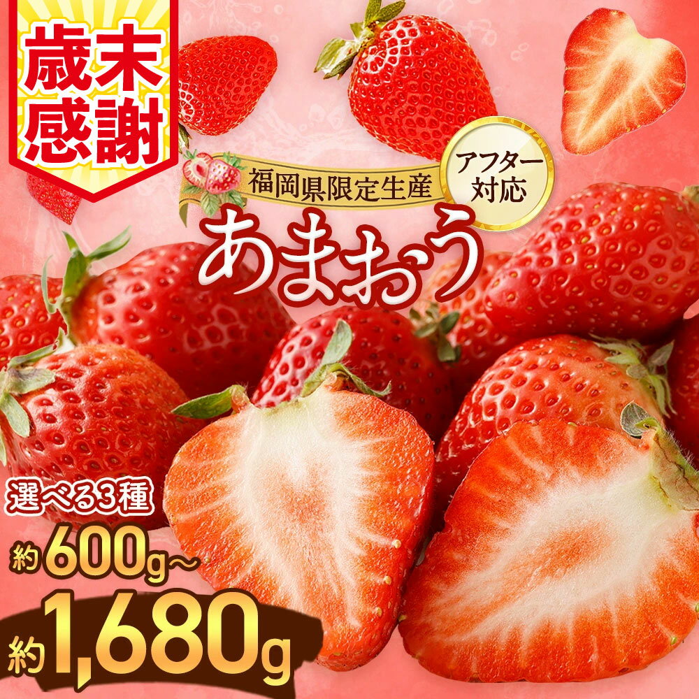 【ふるさと納税】【寄附額改定↓】【アフター対応】＜先行予約＞ 大粒 不揃い 選べる大容量あまおう 1,400g／1,680g 数量限定あまおう 600g 特別栽培あまおう 1,200g （2L,グランデ,DX デラックス) あまおう いちご イチゴ 苺 【2026年1月上旬～3月下旬発送予定】
