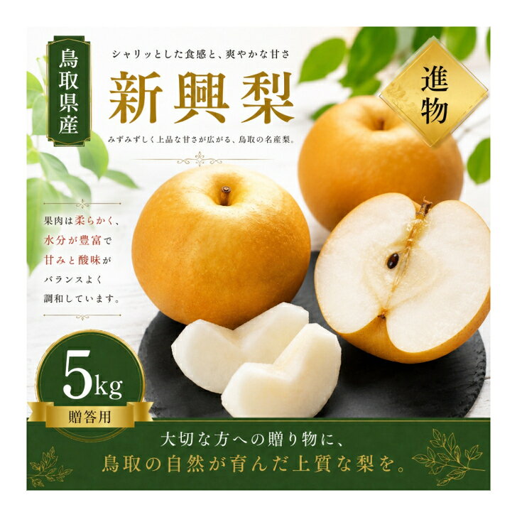【ふるさと納税】 【予約受付中】 有梨の実石田 新興 進物用 5kg やまのおかげ屋 鳥取県 米子市