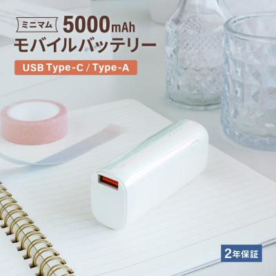 ふるさと納税 海老名市 (オウルテック) 片手に収まるミニマム感 最大PD20W対応 5000mAhモバイルバッテリー
