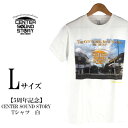 【ふるさと納税】【5周年記念】CENTER SOUND STORY　Tシャツ　白（Lサイズ）【 生活雑貨 日用品 ファッション カジュアル シャツ shirt photoTシャツ 半袖 メンズ レディース 兼用 ユニセックス オリジナル 周年 記念品 プレゼント 贈答 贈り物 ギフト 南国 沖縄土産 】