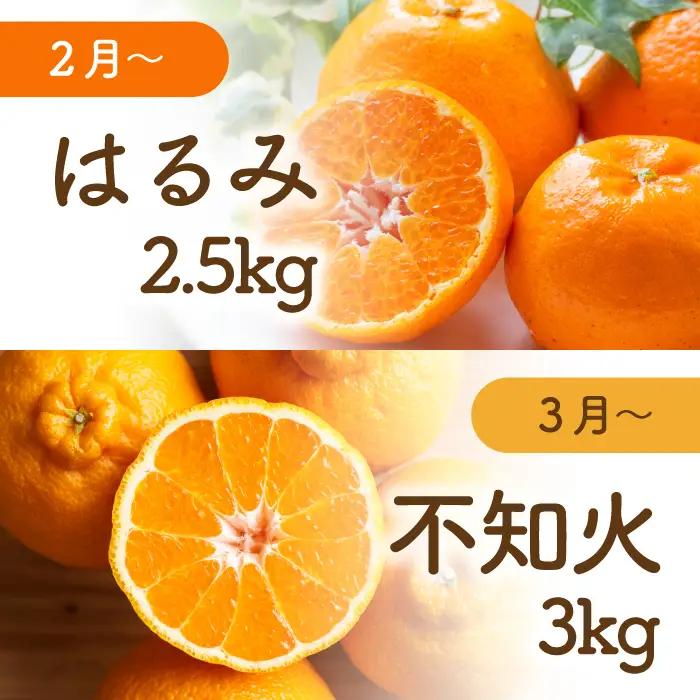 【先行受付】三原の柑橘定期便 全4回 石地 レモン はるみ 不知火 しらぬい デコポン みかん かんきつ フルーツ 果物 産地直送 ジューシー 瀬戸内 広島県三原市 T15