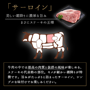 いわて牛 サーロインステーキ 1,200g (200g×6枚) (DV017) ＼ 全国最多日本一 黒毛和牛 ステーキ／真空パック冷凍でお届け♪