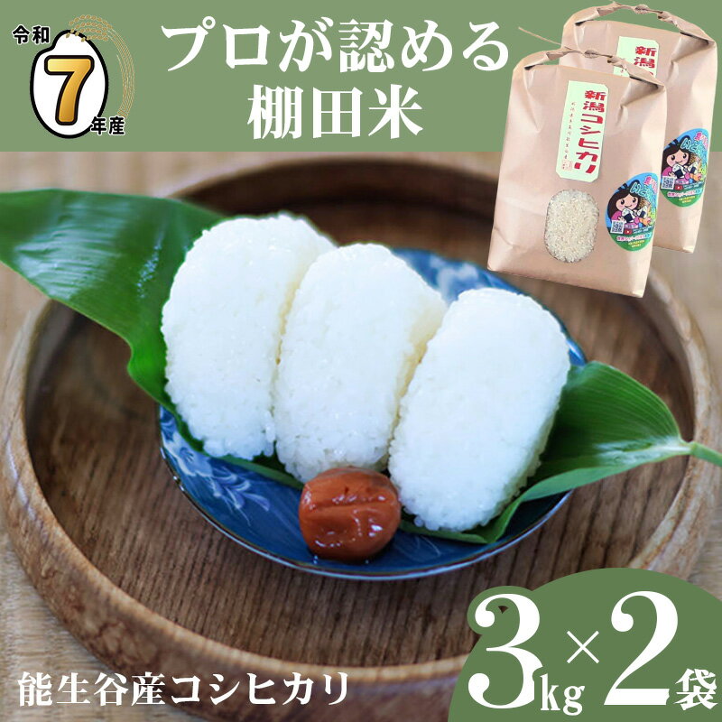 【ふるさと納税】米 新米【令和7年産 新米】選べる発送月 コシヒカリ 6kg (3kg×2袋) 新潟県産 農家直送 プロが認める 棚田米 糸魚川 能生谷産 こしひかり 農業生産法人 JATs有限会社 美味しい 農家自慢 お米 白米 おにぎり お弁当 2025年