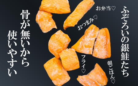 訳あり 鮭 無添加 銀鮭 切り落とし 1.6kg (穴子スティック３本付き) 塩竈市 三晃食品