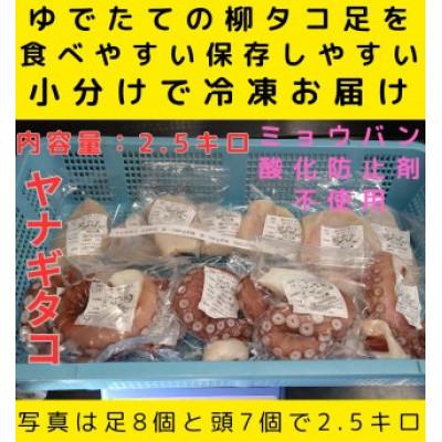 ふるさと納税 白老町 浜ゆでたこ 計2500g 北海道白老町産
