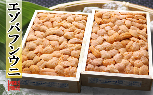 F-71012 エゾバフンウニバラ詰め140～150g×2折[11月上旬以降発送]