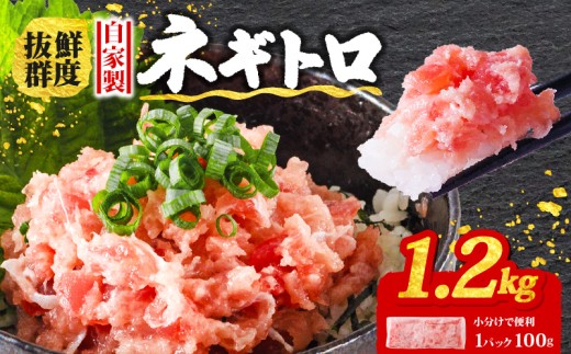 【4月発送】ネギトロ 1.2kg ( 100g×12パック ) 小分け | 手作り まぐろ 鮪 手詰め ネギトロ ねぎとろ まぐろたたき まぐろのたたき マグロたたき ネギとろ ねぎトロ maguro 愛媛県 松山市
