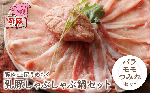 W04-05 乳豚 しゃぶしゃぶ鍋Ｂセット(バラ・モモ・つみれ) 計1.25kg 豚肉 ぶたにく バラ肉 もも肉 つみれ 小間切れ 国産豚 人気 おすすめ スライス 豚しゃぶ セット 詰め合わせ しゃぶしゃぶ ブランド豚