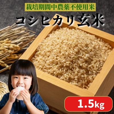 ふるさと納税 小松島市 【2025年9月順次発送】 栽培期間中農薬不使用 コシヒカリ 玄米 1.5kg 米 化学肥料不使用