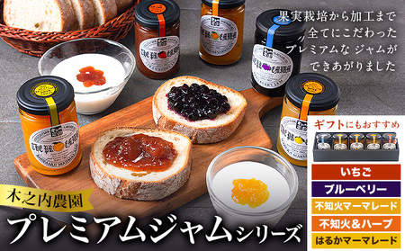 阿蘇 木之内農園 プレミアムシリーズ 5本セット 1本 150g×5 いちご ブルーベリー 不知火マーマレード はるかマーマレード 不知火ハーブマーマレード《30日以内に出荷予定(土日祝を除く)》 熊本県 南阿蘇村 ジャム スイーツ ギフトセット 送料無料