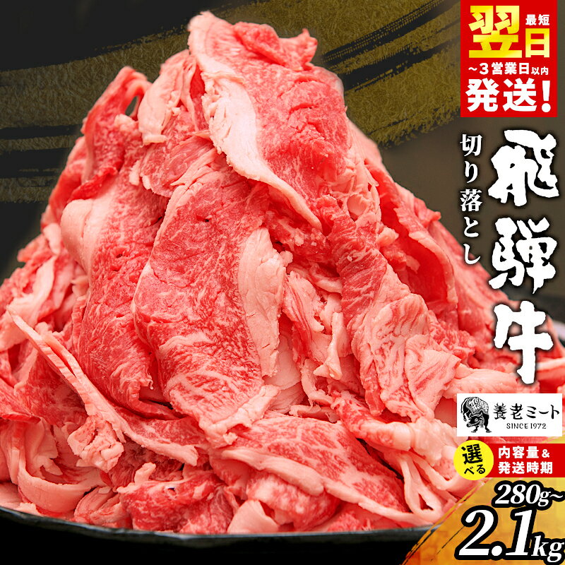 【ふるさと納税】 飛騨牛 切り落とし 280g 700g 1.4kg 2.1kg 訳あり 牛 黒毛和牛 牛肉 和牛 肉 お肉 切落し 不揃い 自宅用 赤身 脂身 霜降り 切り落し ブランド牛 国産 すき焼き 肉じゃが カレー 冷凍 養老ミート お試し 大容量 最速発送
