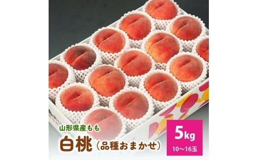 白桃（品種おまかせ）５ｋｇ　0020-2613
