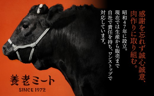 【3か月定期便】【飛騨牛】ロースまたは肩ロース 360g (すき焼き・しゃぶしゃぶ用) （360g×1パック）×3回