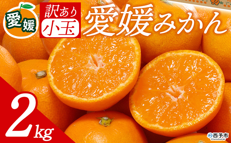 先行予約＜訳あり 愛媛県産 小玉みかん 合計約2kg＞ 『2026年11月以降順次出荷予定』ミヤモトオレンジガーデン 愛媛県 西予市
