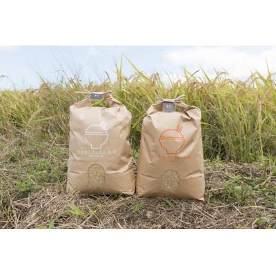 ふるさと納税 あさぎり町 令和7年産　熊本県産ひのひかり(白米)(10キロ)